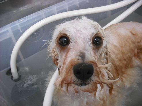 ファイル 421-2.jpg