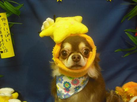 ファイル 4210-1.jpg