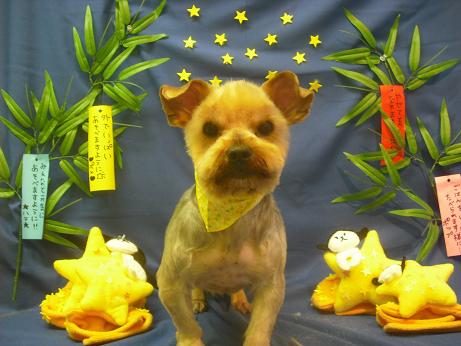 ファイル 4211-1.jpg