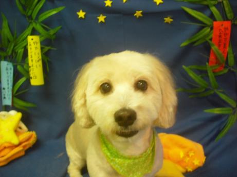 ファイル 4212-2.jpg