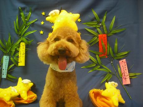 ファイル 4213-1.jpg