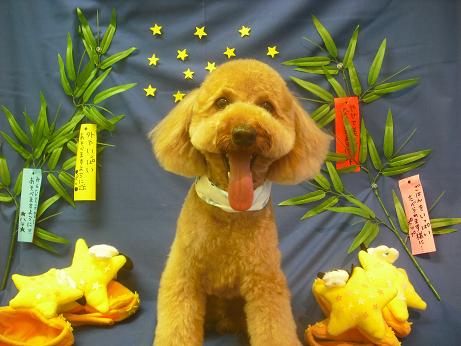 ファイル 4213-2.jpg