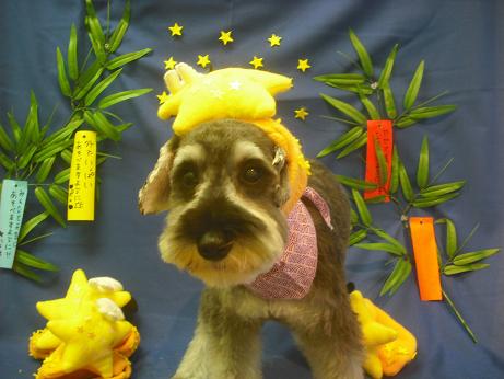 ファイル 4214-1.jpg