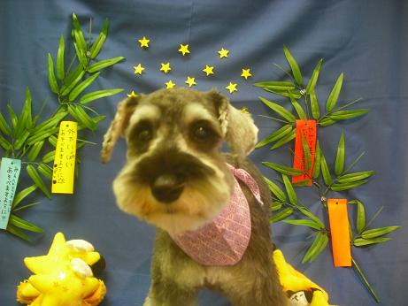 ファイル 4214-2.jpg