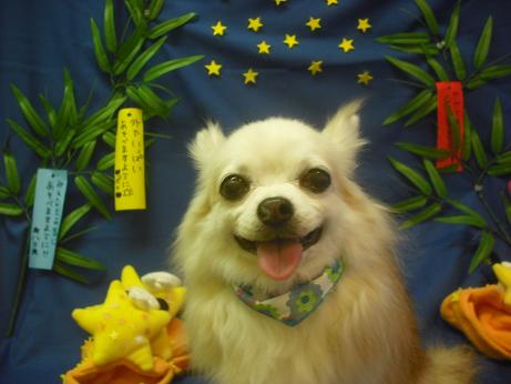 ファイル 4215-2.jpg