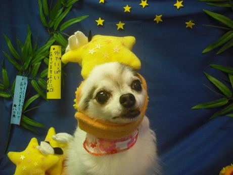 ファイル 4216-1.jpg