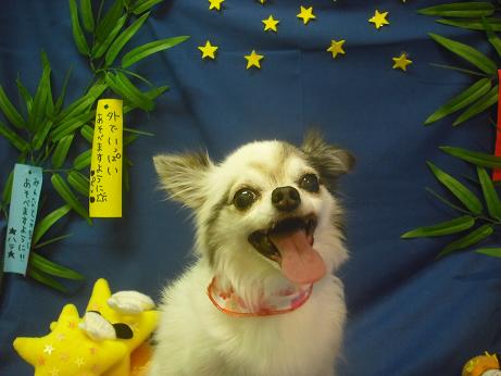 ファイル 4216-2.jpg