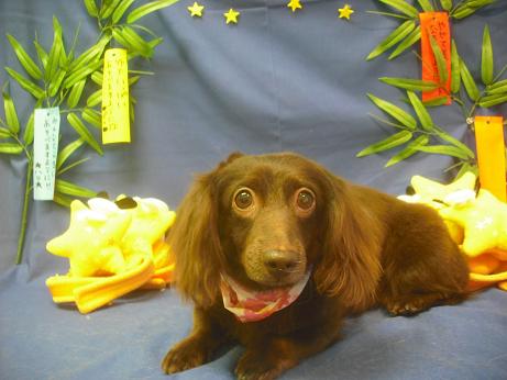 ファイル 4217-2.jpg