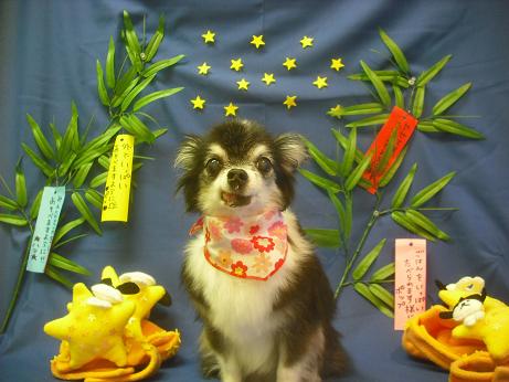 ファイル 4218-2.jpg