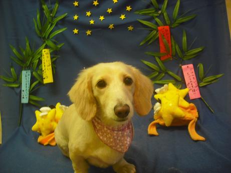 ファイル 4219-2.jpg