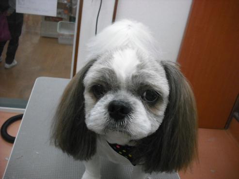 ファイル 422-1.jpg