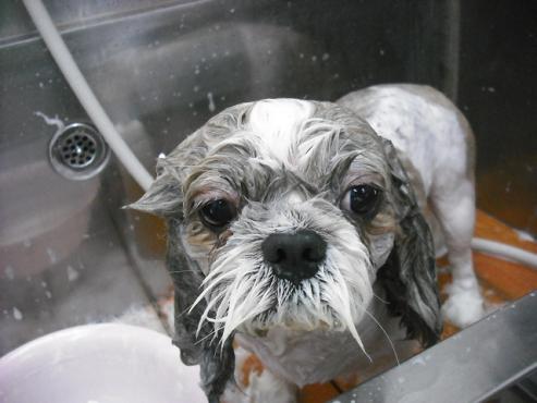 ファイル 422-2.jpg