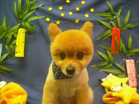 ファイル 4221-2.jpg