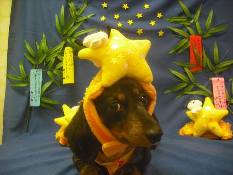 ファイル 4222-1.jpg