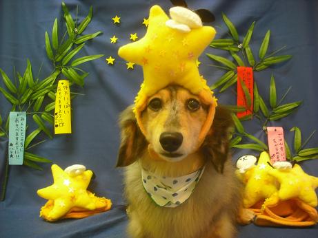 ファイル 4224-1.jpg