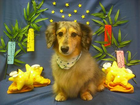 ファイル 4224-2.jpg