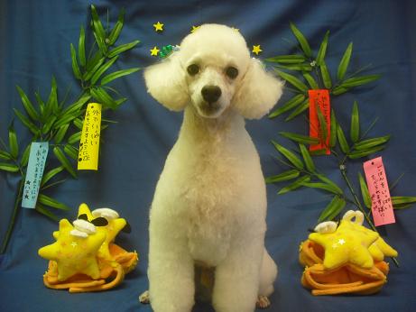 ファイル 4228-2.jpg