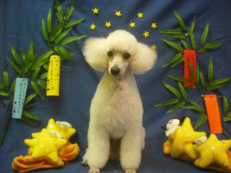 ファイル 4229-2.jpg