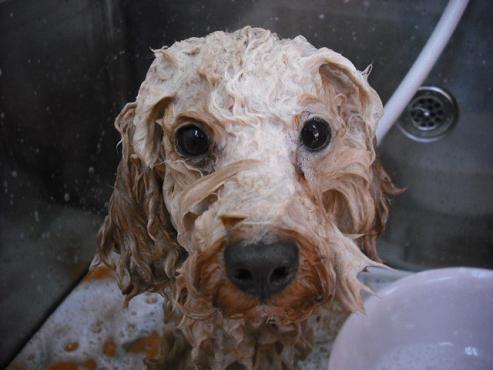 ファイル 423-2.jpg