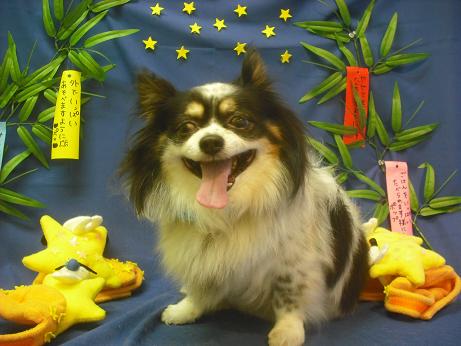 ファイル 4230-1.jpg