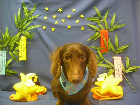 ファイル 4231-2.jpg