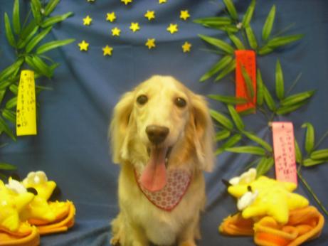 ファイル 4233-2.jpg