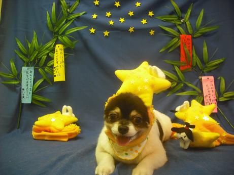 ファイル 4234-1.jpg