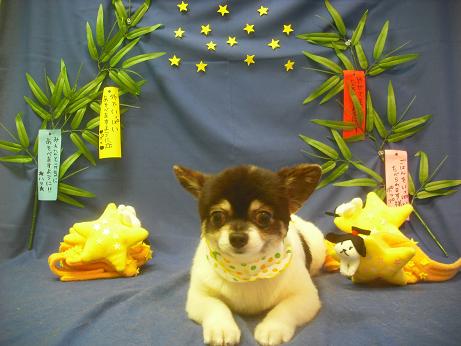 ファイル 4234-2.jpg