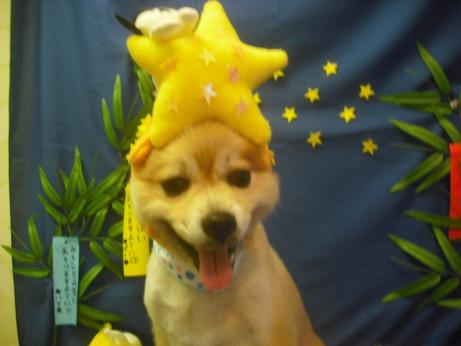 ファイル 4237-1.jpg