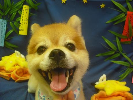 ファイル 4237-2.jpg