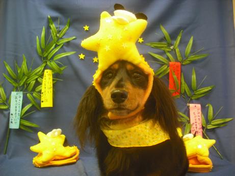 ファイル 4238-1.jpg