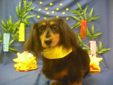 ファイル 4238-2.jpg