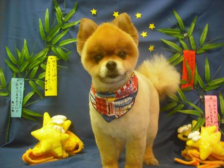 ファイル 4239-2.jpg