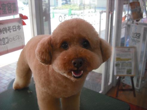 ファイル 424-1.jpg