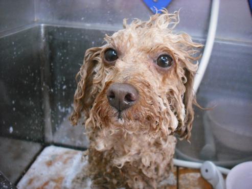 ファイル 424-2.jpg