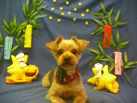 ファイル 4240-2.jpg