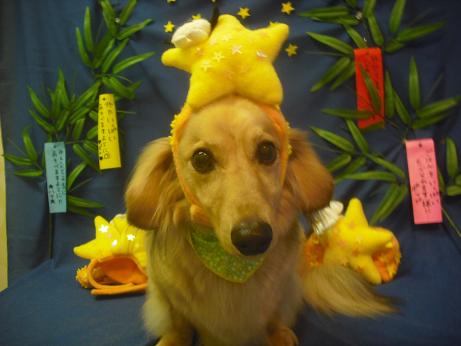 ファイル 4241-1.jpg