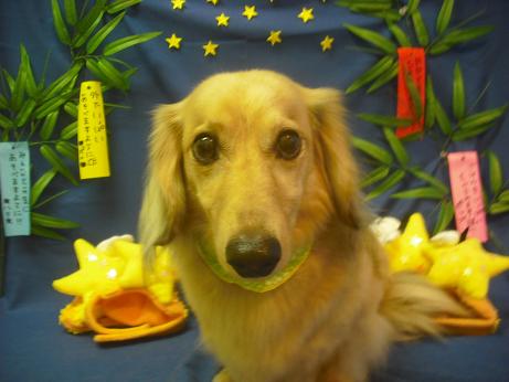 ファイル 4241-2.jpg