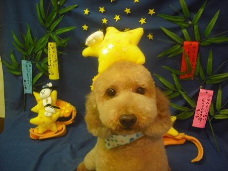 ファイル 4242-1.jpg