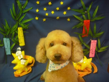 ファイル 4242-2.jpg