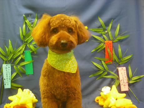 ファイル 4244-1.jpg