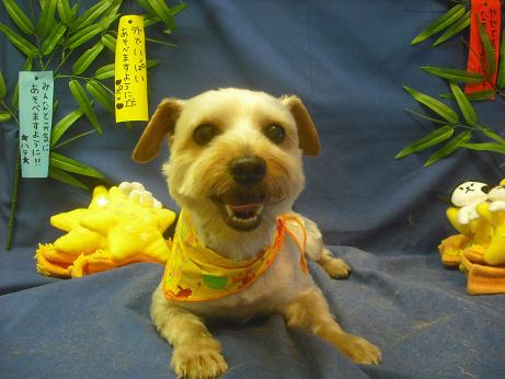 ファイル 4246-2.jpg