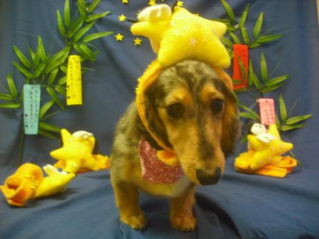 ファイル 4247-1.jpg