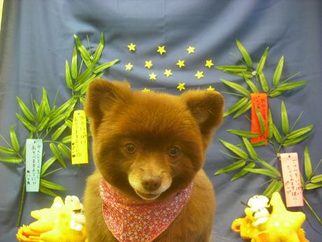 ファイル 4249-1.jpg