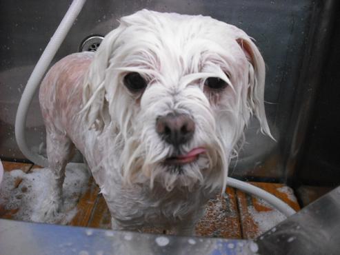 ファイル 425-2.jpg