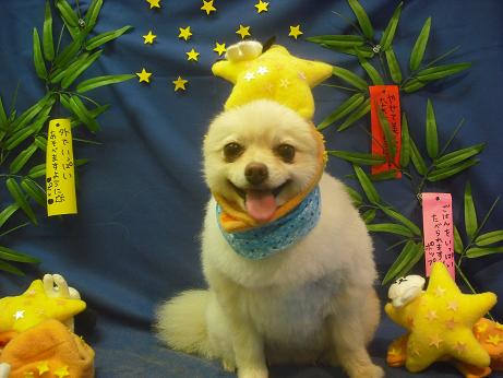 ファイル 4250-1.jpg