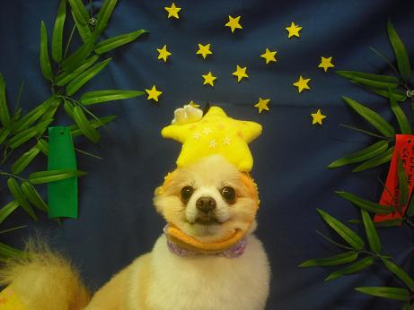 ファイル 4251-1.jpg