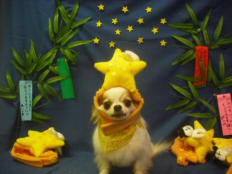 ファイル 4252-2.jpg