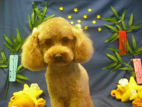 ファイル 4253-2.jpg