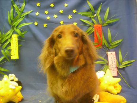 ファイル 4254-2.jpg